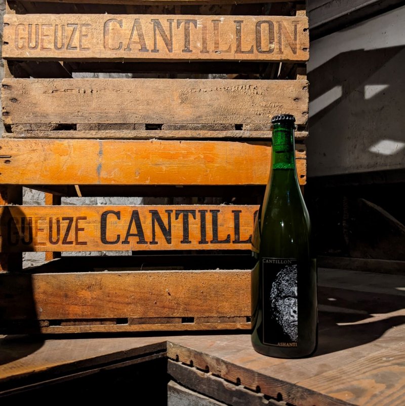 Cantillon, la dernière brasserie bruxelloise de lambic